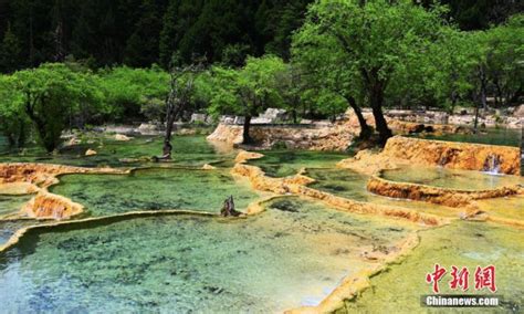 黃龍有什麼旅遊景點?黃龍自然景觀是否只有水體?